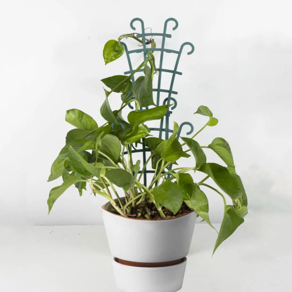 6 Pcs Plant Climbing Stands Rust Proof Durable Bonsai Tools Garden Stands Flower Frame Holder Vine Trellis Strong Supports
6 Pcs Plant Climbing Stands Rust Proof Durable Bonsai Tools Garden Stands Flower Frame Holder Vine Trellis Strong Supports