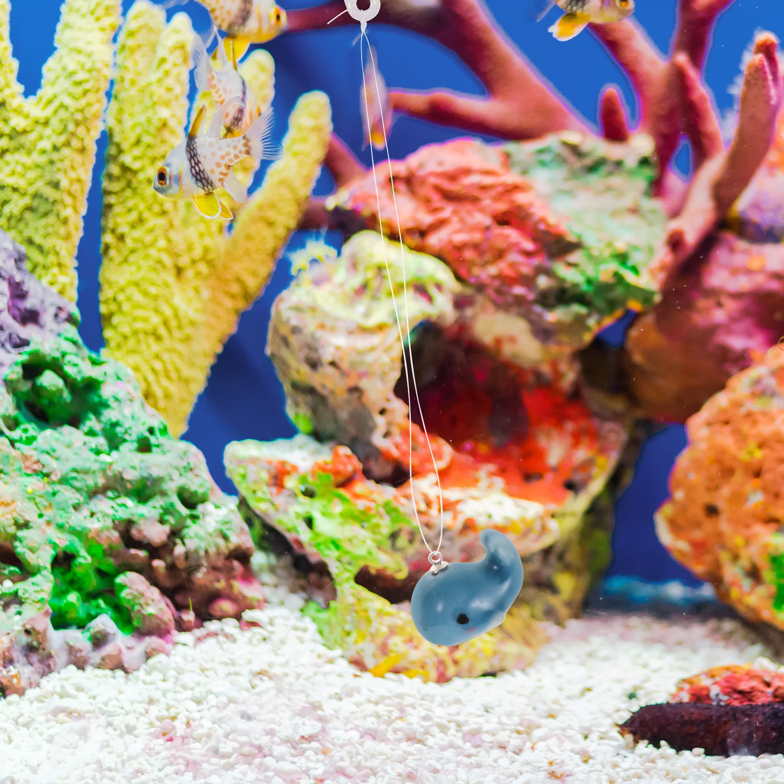 2Pcs Fish Tank Decoration Floating Whale Aquarium Ornaments Cute Marine Animal for Fish Tank Pond Indoor Decorative Accessories
2Pcs Fish Tank Decoration Floating Whale Aquarium Ornaments Cute Marine Animal for Fish Tank Pond Indoor Decorative Accessories