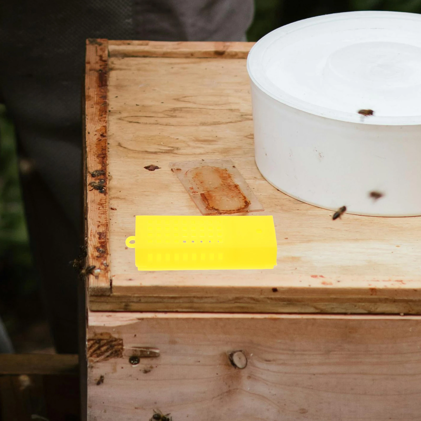 10 Pcs Beehive Incubation Bases Cells Cups Beekeeping Tools Plastic Equipment Cover
10 Pcs Beehive Incubation Bases Cells Cups Beekeeping Tools Plastic Equipment Cover