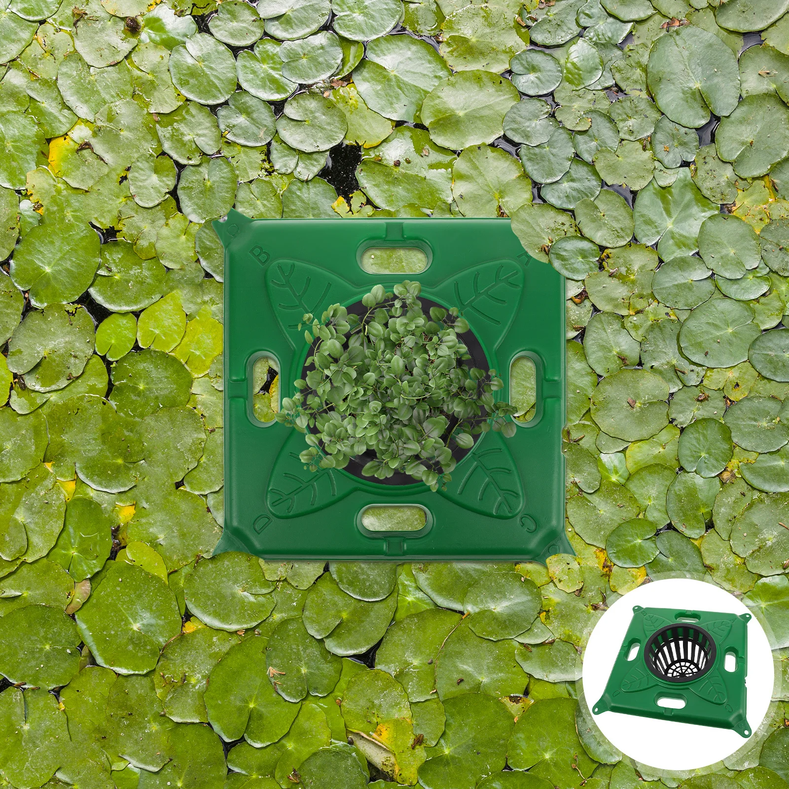 Floating Planter Modular Hydroponic Floating Pot Reusable Pond Basket Water Garden Aquatic Plant Hydroponic Island
Floating Planter Modular Hydroponic Floating Pot Reusable Pond Basket Water Garden Aquatic Plant Hydroponic Island