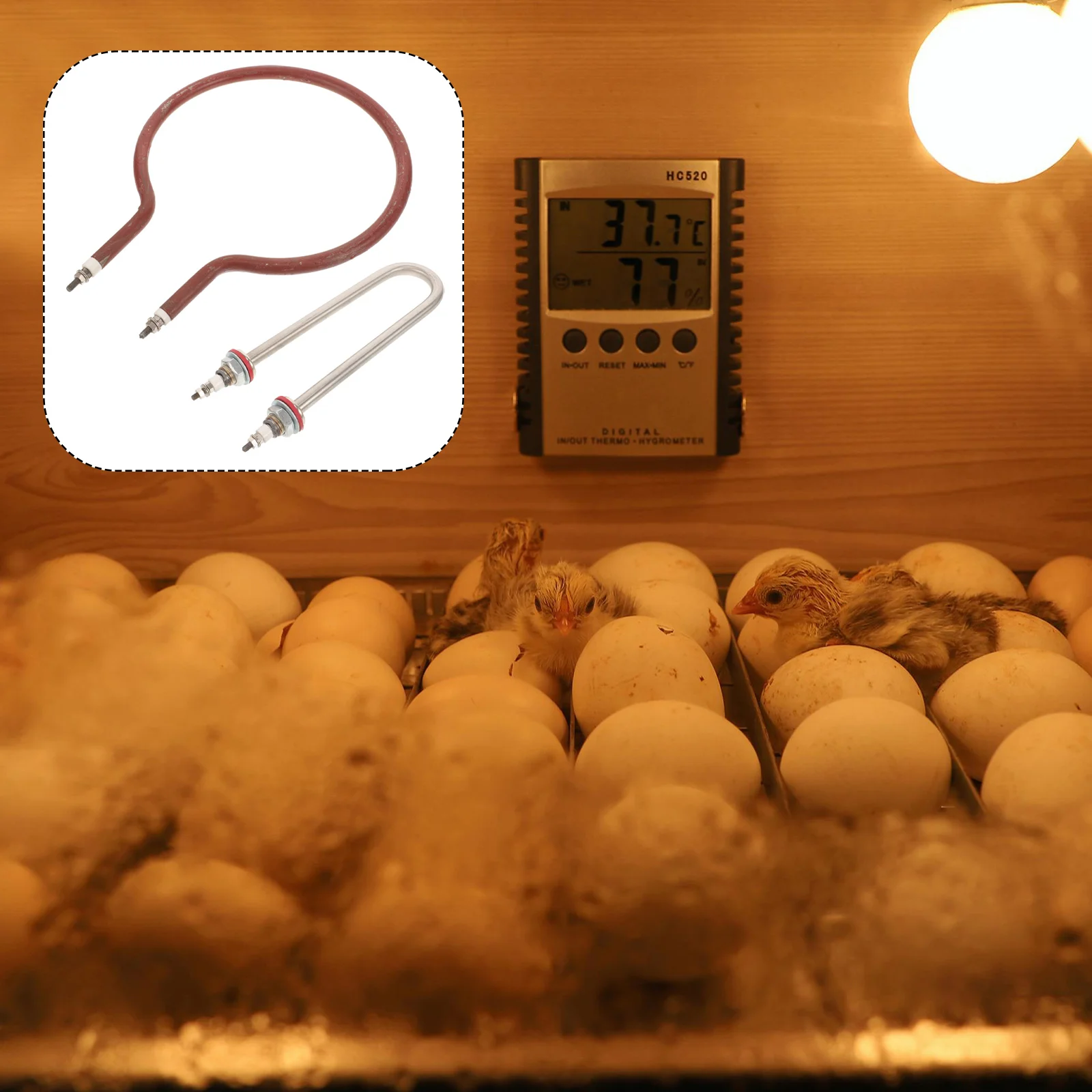 Humidification Pipe Heating Incubator for Chicken Eggs Heater Element Farm-specific Humidify Tube Accessory Incubators
Humidification Pipe Heating Incubator for Chicken Eggs Heater Element Farm-specific Humidify Tube Accessory Incubators