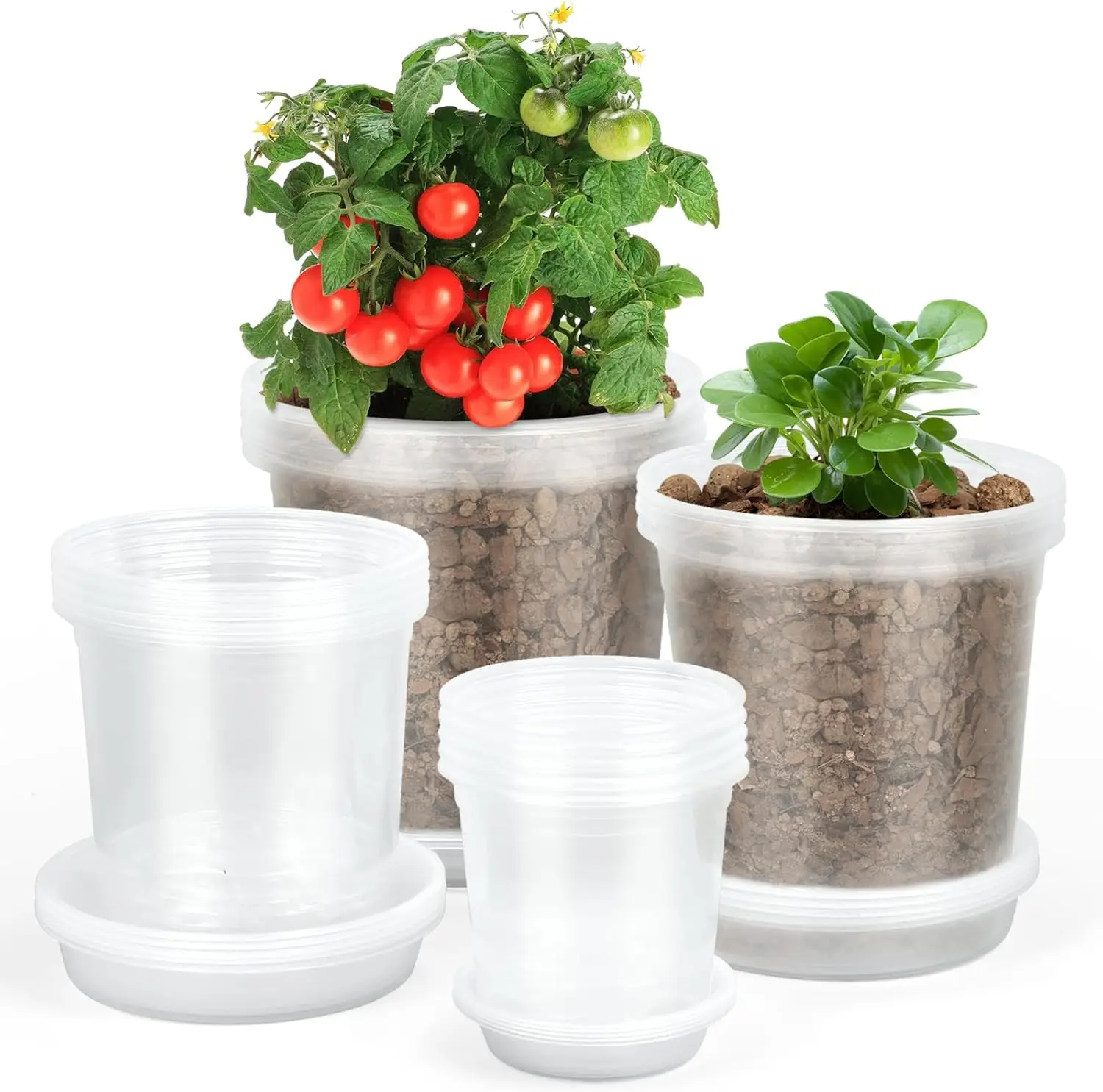 Clear Nursery Pots 3/4/5/6 Inch 20 Pack with Drainage Holes & Saucers for Succulents, Seed Starter
Clear Nursery Pots 3/4/5/6 Inch 20 Pack with Drainage Holes & Saucers for Succulents, Seed Starter