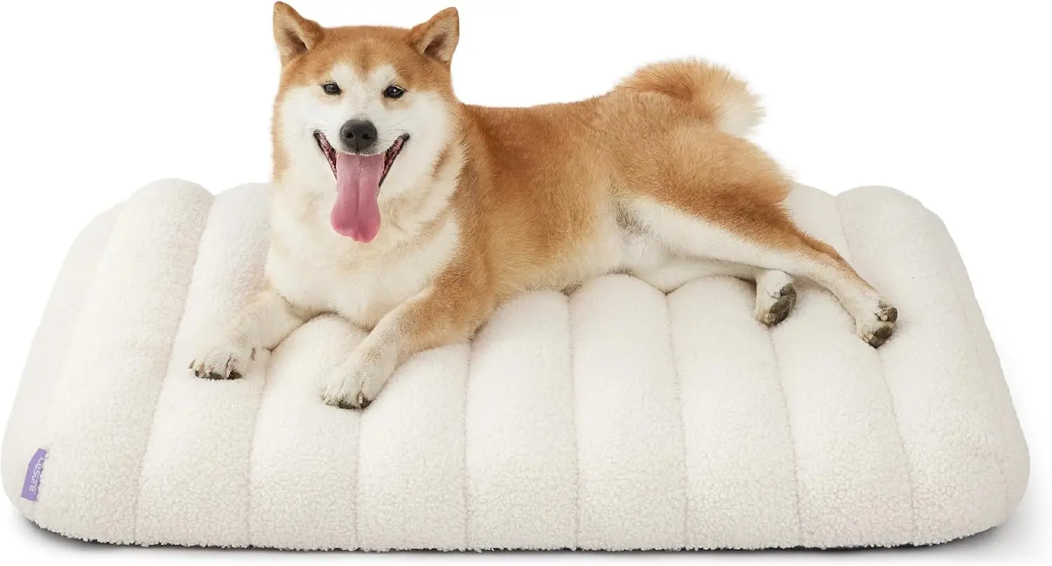Cute Orthopedic Dog Bed Medium Size Dog, Waterproof Chic Flat Pet Beds with Removable Washable Cover, Fuzzy Thick Egg Crate
Cute Orthopedic Dog Bed Medium Size Dog, Waterproof Chic Flat Pet Beds with Removable Washable Cover, Fuzzy Thick Egg Crate