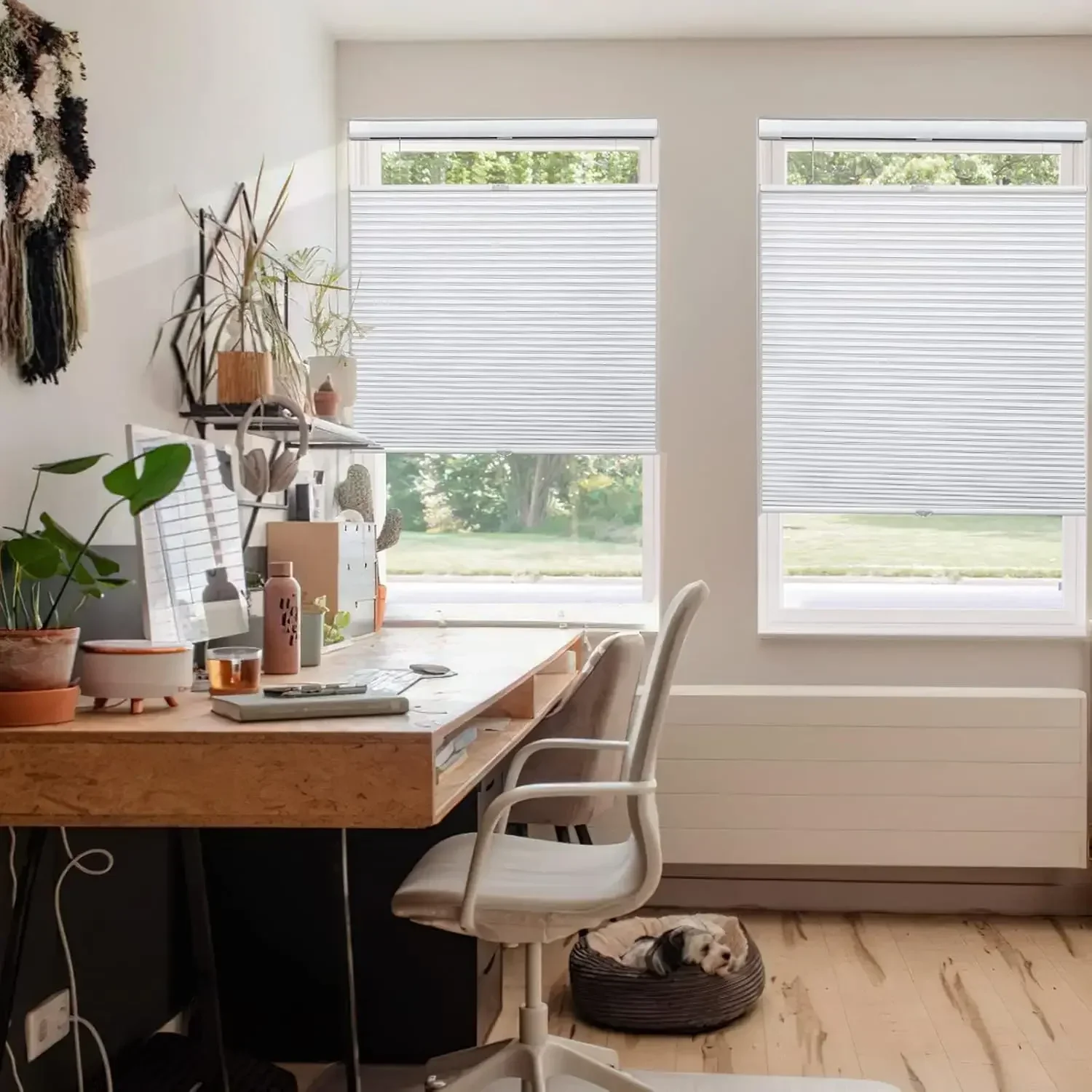 BestsellerTop Down Bottom Up Cordless Cellular Shades No Tools No Drill Blinds for Windows Shades 100% Blackout White 34 1/2" W
BestsellerTop Down Bottom Up Cordless Cellular Shades No Tools No Drill Blinds for Windows Shades 100% Blackout White 34 1/2" W