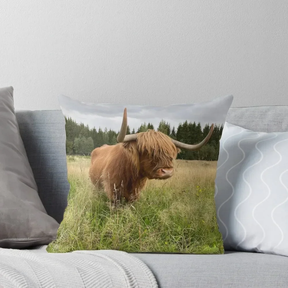 Scottish Highland Cattle Cow 2956 Throw Throw Pillow Decorative Cover For Living Room Marble Cushion Cover luxury decor pillow
Scottish Highland Cattle Cow 2956 Throw Throw Pillow Decorative Cover For Living Room Marble Cushion Cover luxury decor pillow