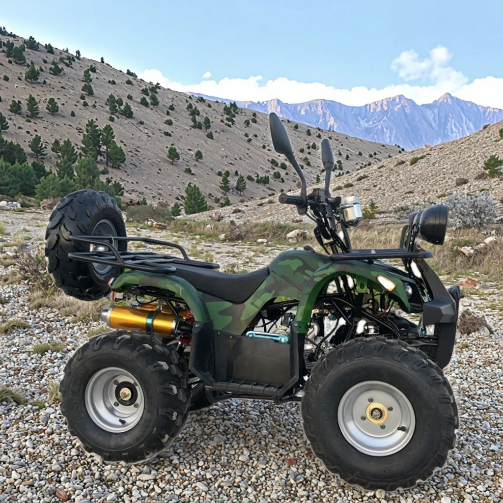 110CC 125CC Quad ATV for Adult With CE Approved ATV
110CC 125CC Quad ATV for Adult With CE Approved ATV