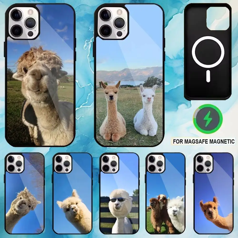 R-Rafayel Love and Deepspace Phone Case For iPhone17,16,15,14,13,12,11 Plus,Pro Max Magnetic For Magsafe Wireless Charging
R-Rafayel Love and Deepspace Phone Case For iPhone17,16,15,14,13,12,11 Plus,Pro Max Magnetic For Magsafe Wireless Charging