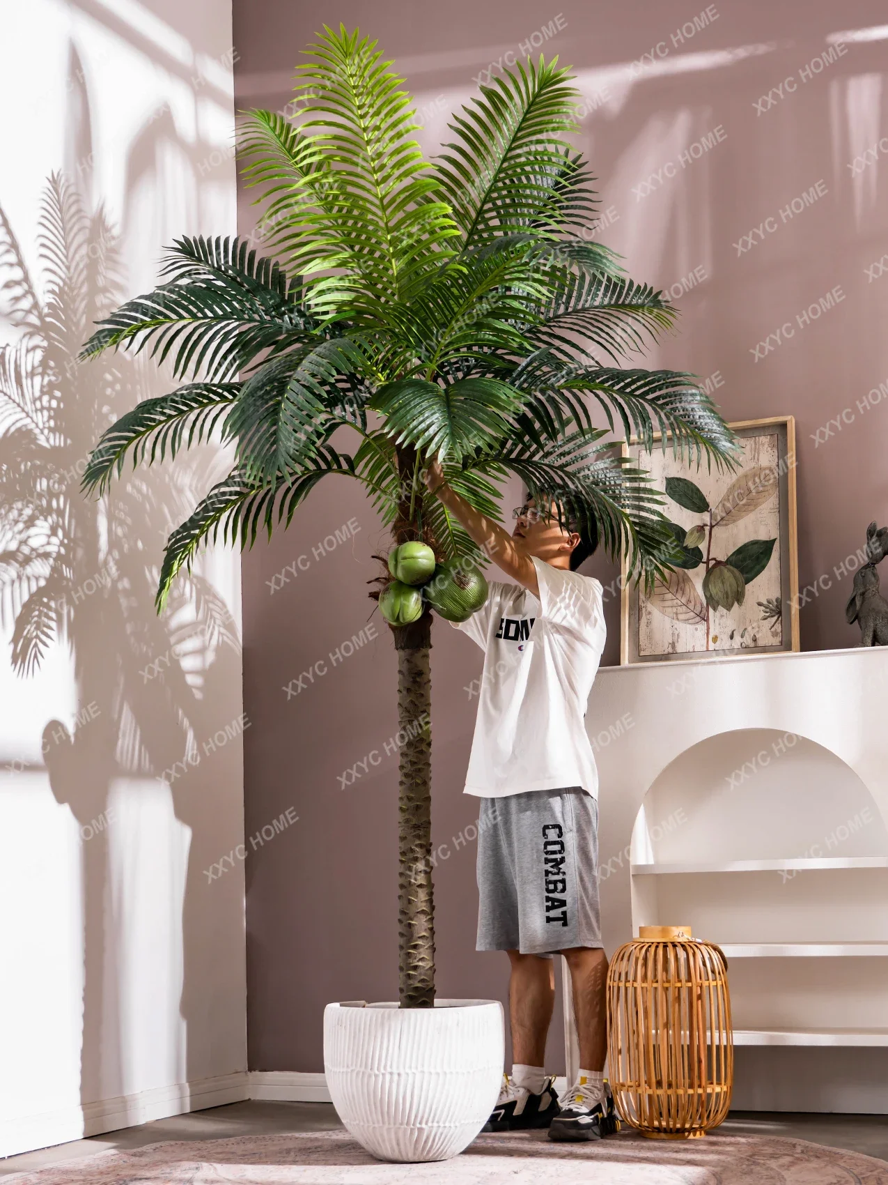Large-scale Simulation Loose Tail Sunflower Tropical Plant Coconut Tree Indoor Bionic Green Plant Fake Tree Landscaping
Large-scale Simulation Loose Tail Sunflower Tropical Plant Coconut Tree Indoor Bionic Green Plant Fake Tree Landscaping