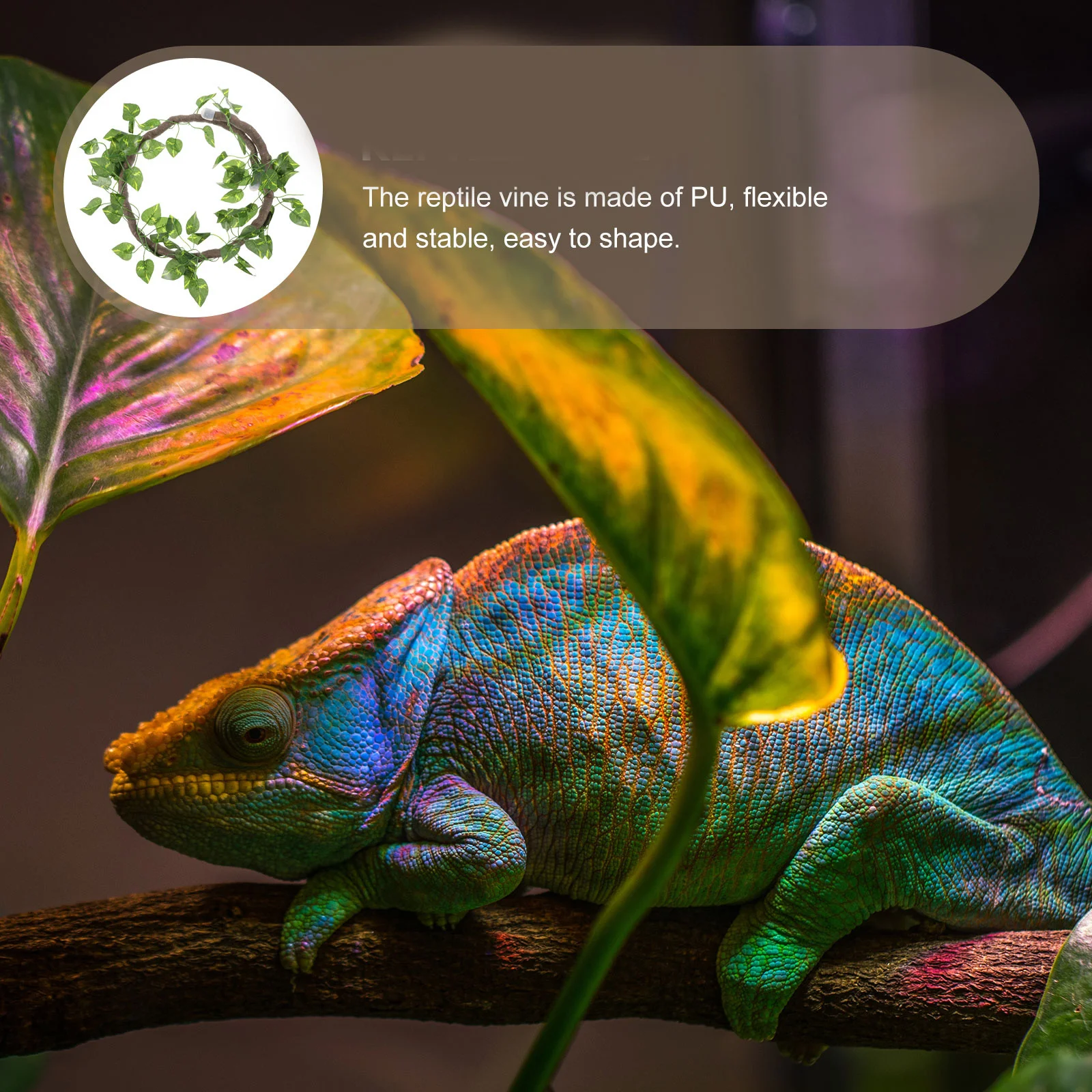 1 set 1 Set Artificial Rattan Vine For Reptile Terrarium Decor Flexible Pet Tank Landscape Ornament With Strong Suction Cups
1 set 1 Set Artificial Rattan Vine For Reptile Terrarium Decor Flexible Pet Tank Landscape Ornament With Strong Suction Cups