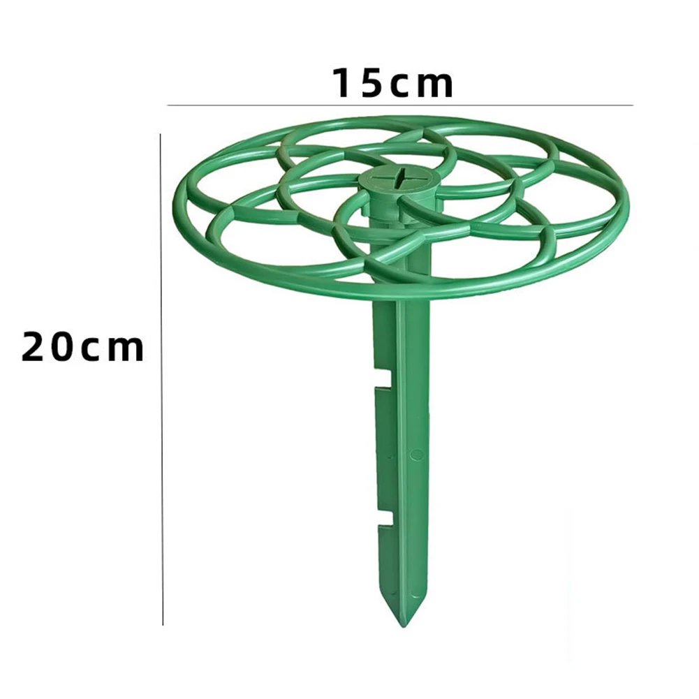 Creative Decorative Stand For Holidays Garden Decoration Garden Support Hassle-Free Setup High-Quality Plastic
Creative Decorative Stand For Holidays Garden Decoration Garden Support Hassle-Free Setup High-Quality Plastic
