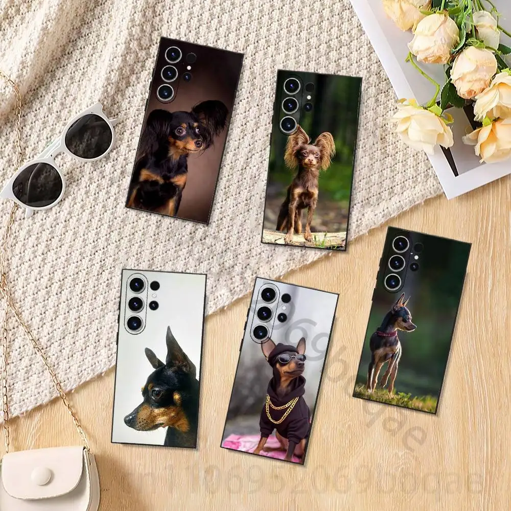 Cute Russkiy Toy Terrier Phone Case For Samsung Galaxy S26,25,24,23,22,21,20Plus Ultra
Cute Russkiy Toy Terrier Phone Case For Samsung Galaxy S26,25,24,23,22,21,20Plus Ultra