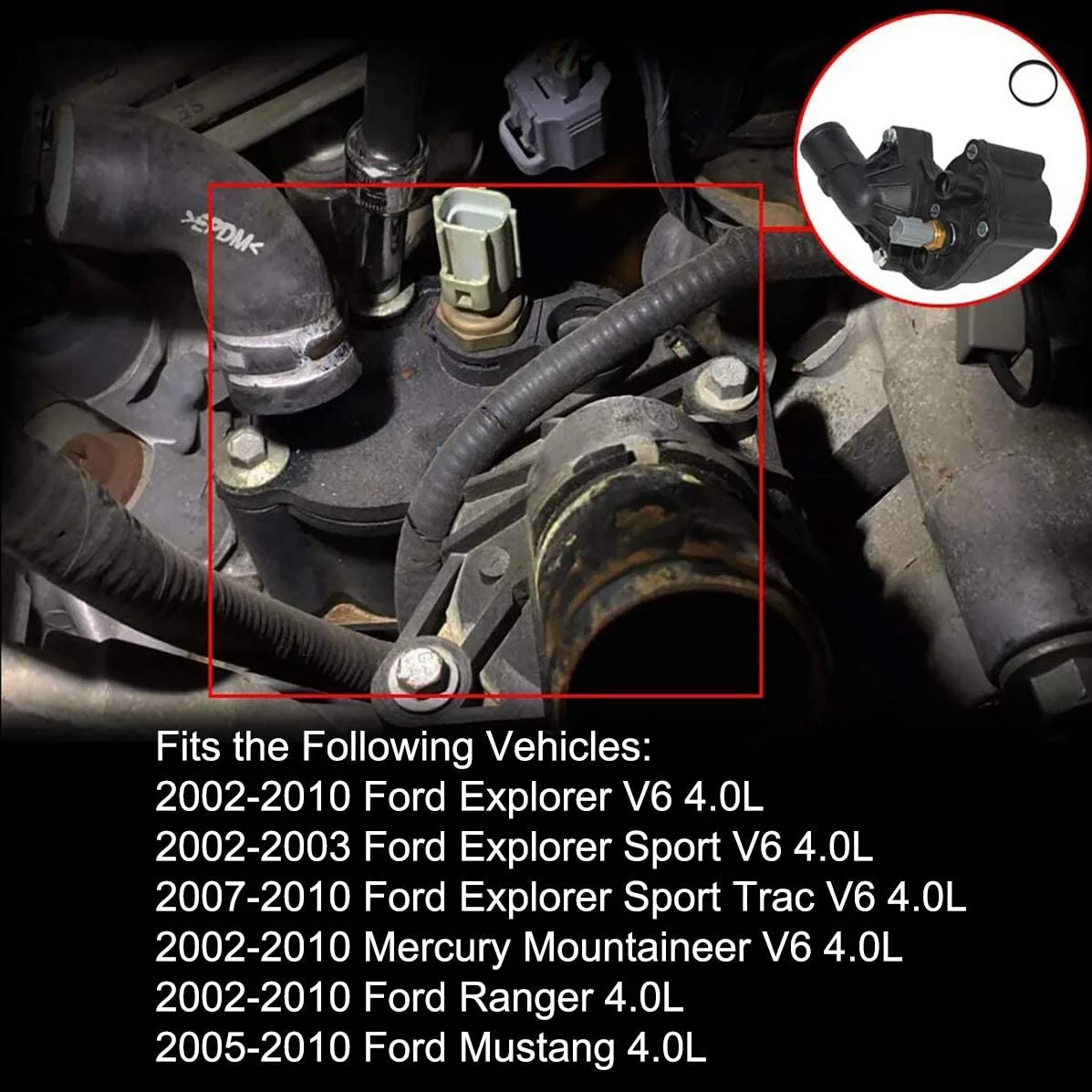 Stable-Engine Coolant Thermostat Housing With Sensor For Ford Mustang 4.0L 2005-2010 2L2Z-8592-BA 902-210
Stable-Engine Coolant Thermostat Housing With Sensor For Ford Mustang 4.0L 2005-2010 2L2Z-8592-BA 902-210