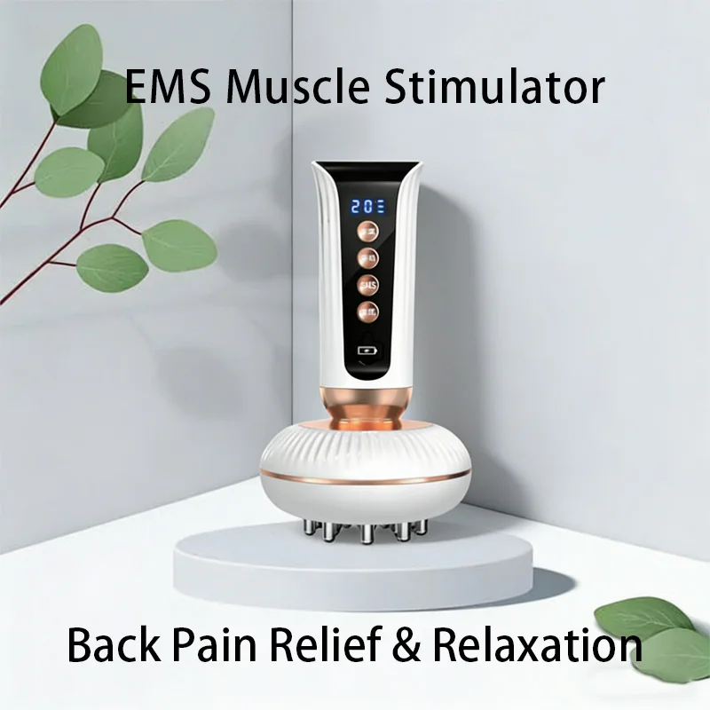 Professional EMS Muscle Stimulator Machine Infrared Massage Body Pain Relief Electric Recovery Device Neck Shoulder Relaxation
Professional EMS Muscle Stimulator Machine Infrared Massage Body Pain Relief Electric Recovery Device Neck Shoulder Relaxation