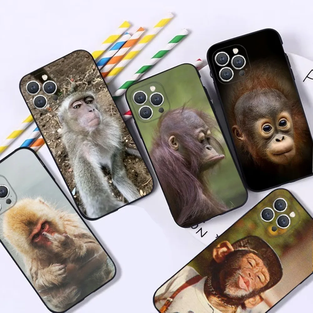 monkey funny Phone Case For iPhone 16,15,14,13,12,Pro,Max,11,7,8,Plus,XR,XS Max Shockproof Silicone Soft Shell
monkey funny Phone Case For iPhone 16,15,14,13,12,Pro,Max,11,7,8,Plus,XR,XS Max Shockproof Silicone Soft Shell