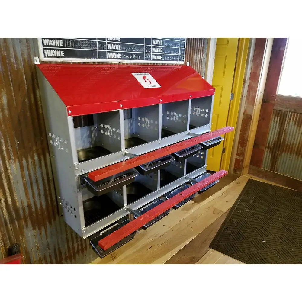 8-Hole Rust-Resistant Metal Nest Box for Chickens, Hens, and Ducks - Large Ventilated Egg Laying with Rollout Collection
8-Hole Rust-Resistant Metal Nest Box for Chickens, Hens, and Ducks - Large Ventilated Egg Laying with Rollout Collection
