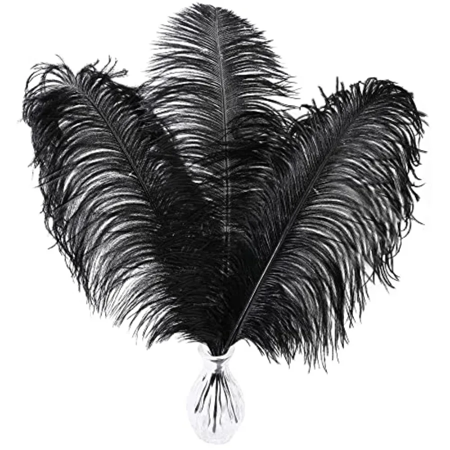 Larryhot Black Ostrich Feathers Bulk - 6-8 inch 0pcs Feathers for Vase, Wedding Party Centerpieces and Home Decorations Black
Larryhot Black Ostrich Feathers Bulk - 6-8 inch 0pcs Feathers for Vase, Wedding Party Centerpieces and Home Decorations Black