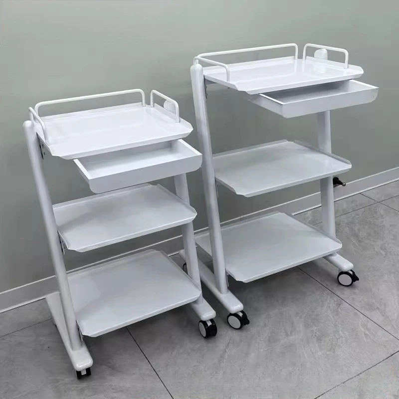 Rolling Cart with Wheels Portable Trolley Beauty Salon Hairdressing Auxiliary Cart Tool Trolly Cosmetic Salon Furniture Cart
Rolling Cart with Wheels Portable Trolley Beauty Salon Hairdressing Auxiliary Cart Tool Trolly Cosmetic Salon Furniture Cart