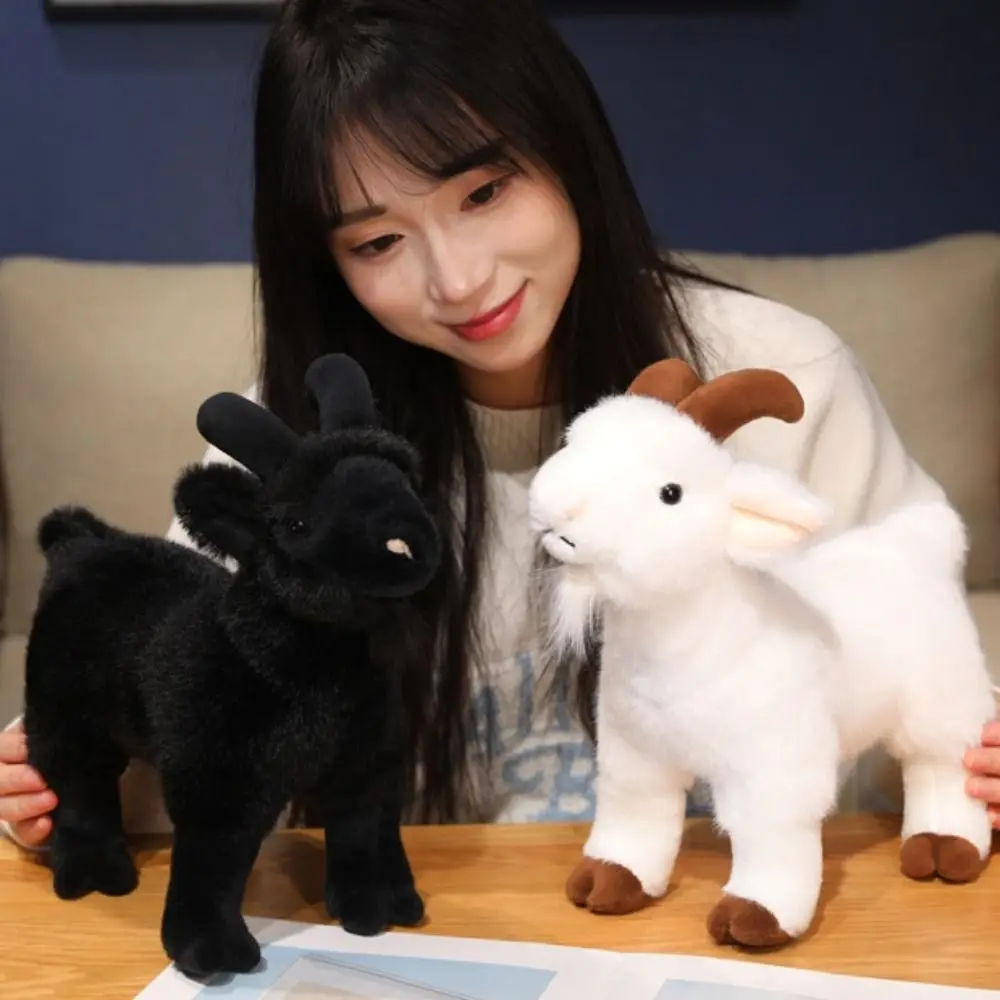 PP Cotton Baby Goat Plush Doll 18/30cm Stuffed Horned Sheep Plush Toys Lovely Fluffy Baby Goat Keychain Valentine's Day Gifts
PP Cotton Baby Goat Plush Doll 18/30cm Stuffed Horned Sheep Plush Toys Lovely Fluffy Baby Goat Keychain Valentine's Day Gifts