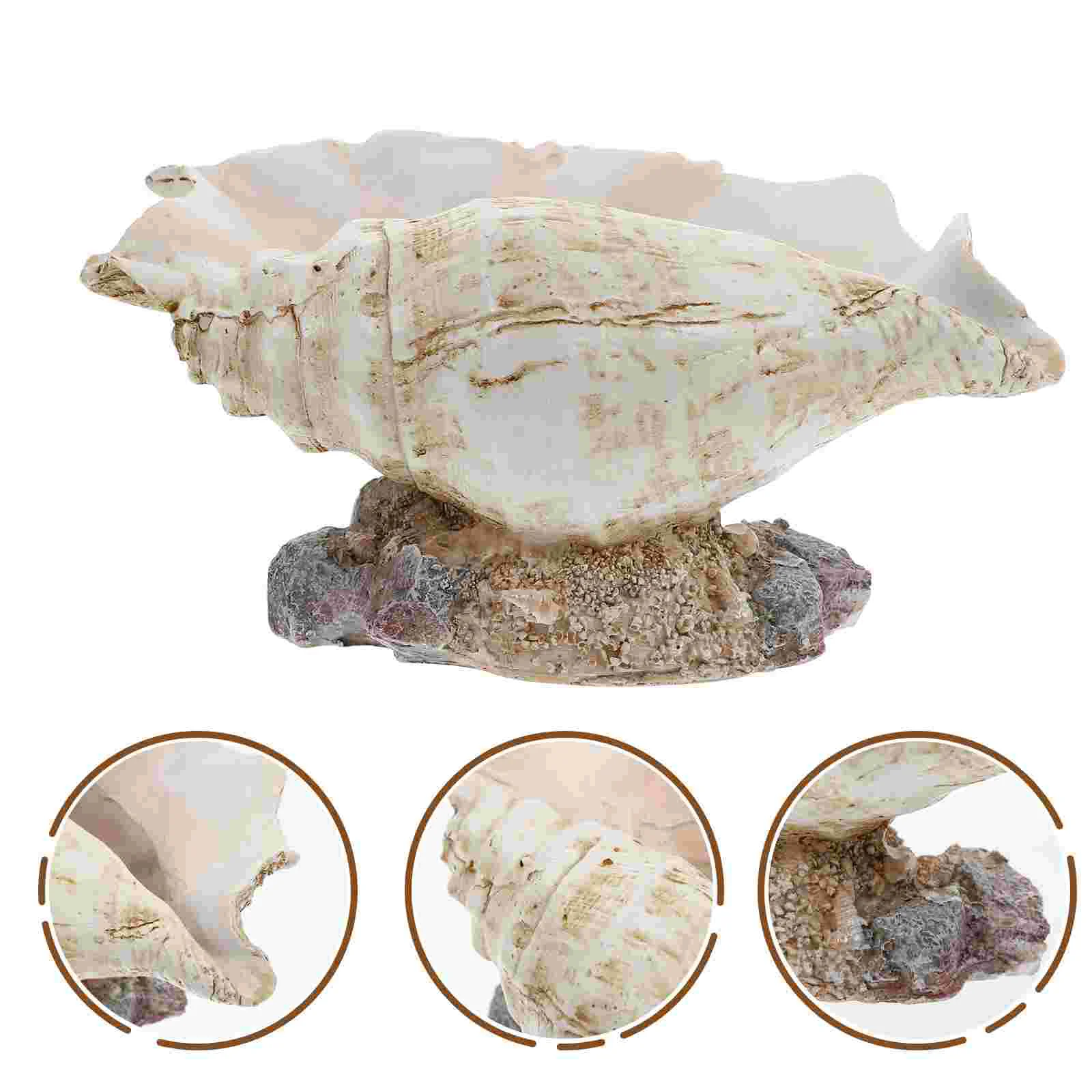 Simulated Conch Flower Pot Creative Flowerpot Shape Artistic Decor Resin Plant Holder Design Planter
Simulated Conch Flower Pot Creative Flowerpot Shape Artistic Decor Resin Plant Holder Design Planter