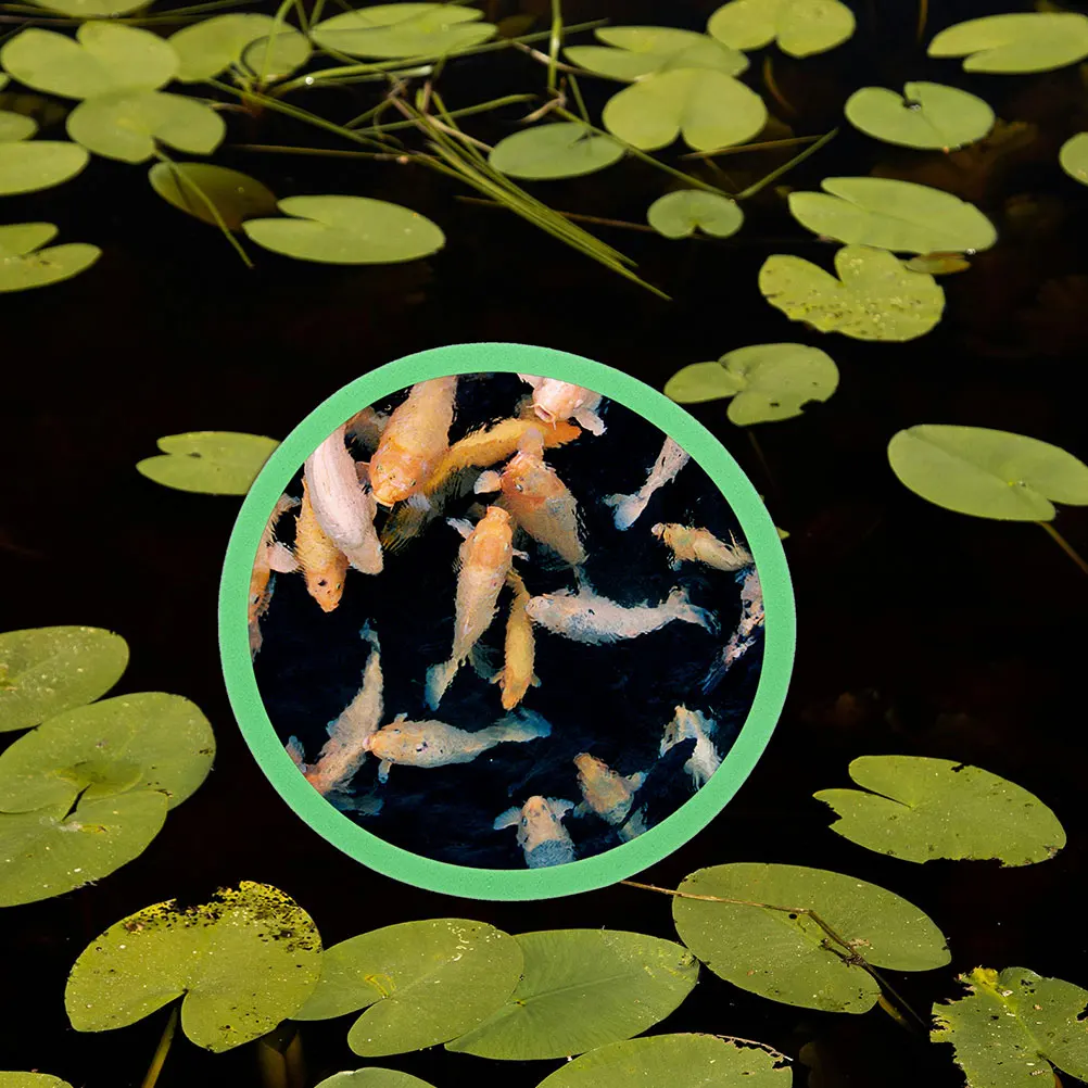 10Pcs Fish Tank Floating Plant Rings Feeding Circles Isolation Accessories Plastic Aquarium Floating Duckweed Rings Plants
10Pcs Fish Tank Floating Plant Rings Feeding Circles Isolation Accessories Plastic Aquarium Floating Duckweed Rings Plants