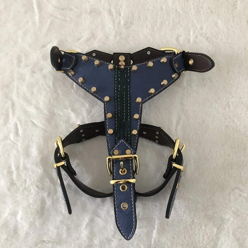 High Quality Luxury Adjustable Leather Pet Harness Fashion Outdoor Training Dog Harness Set
High Quality Luxury Adjustable Leather Pet Harness Fashion Outdoor Training Dog Harness Set