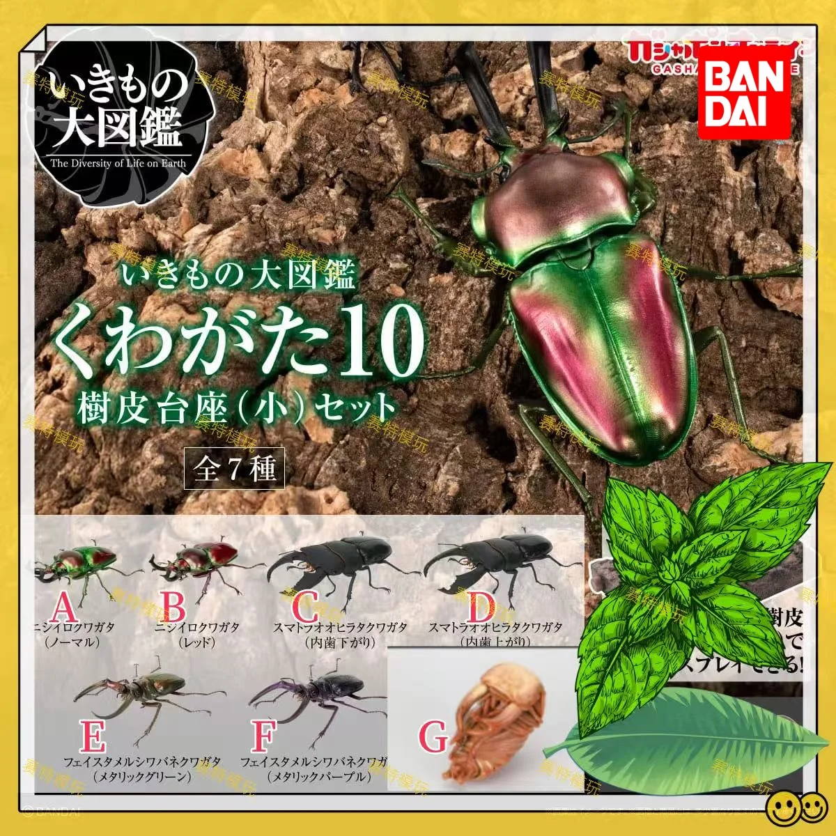 Bandai Original Biological Encyclopedia Gashapon Toys Stag Beetle Series 10 Phalacrognathus Muelleri Simulated Insects Gift
Bandai Original Biological Encyclopedia Gashapon Toys Stag Beetle Series 10 Phalacrognathus Muelleri Simulated Insects Gift