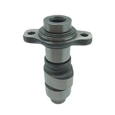 Motorcycle Engine Camshaft for Honda TRX300FW Fourtrax 300 TRX300 Parts
Motorcycle Engine Camshaft for Honda TRX300FW Fourtrax 300 TRX300 Parts
