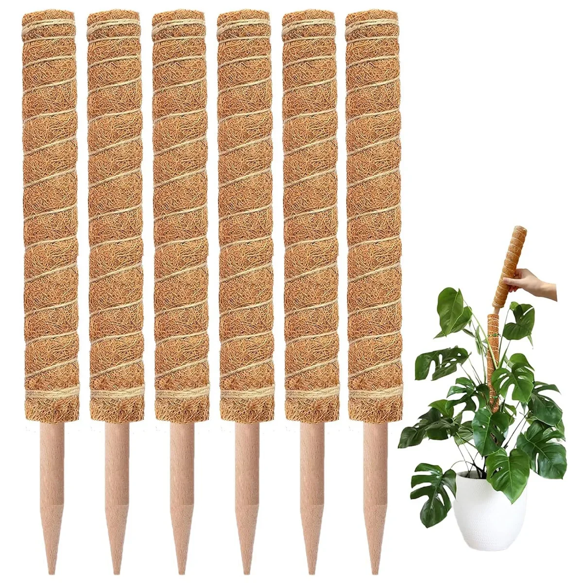Cross-border Gardening Cocoanut Stick Green Pot Fixed Plant Climbing Cane Flower Support Cocoanut Climbing Cane Moss Rod 1pc
Cross-border Gardening Cocoanut Stick Green Pot Fixed Plant Climbing Cane Flower Support Cocoanut Climbing Cane Moss Rod 1pc