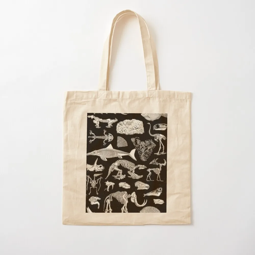 Paleontology Illustration Tote Bag personalized tote bag Handbags shopping bags foldable Big bag women
Paleontology Illustration Tote Bag personalized tote bag Handbags shopping bags foldable Big bag women
