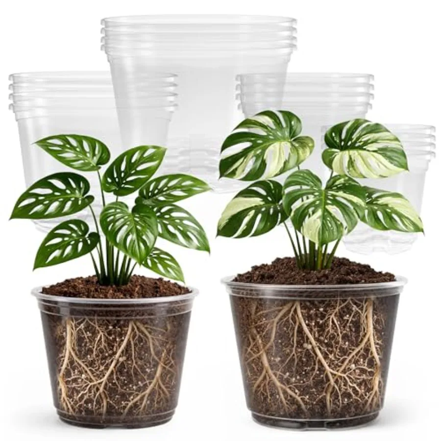 16 Pack 10/8/6/5 Inch Reinforced Large Clear Drainage Holes, Transparent Variety Pack Plastic Plant Pot for Vegetable Propagati
16 Pack 10/8/6/5 Inch Reinforced Large Clear Drainage Holes, Transparent Variety Pack Plastic Plant Pot for Vegetable Propagati