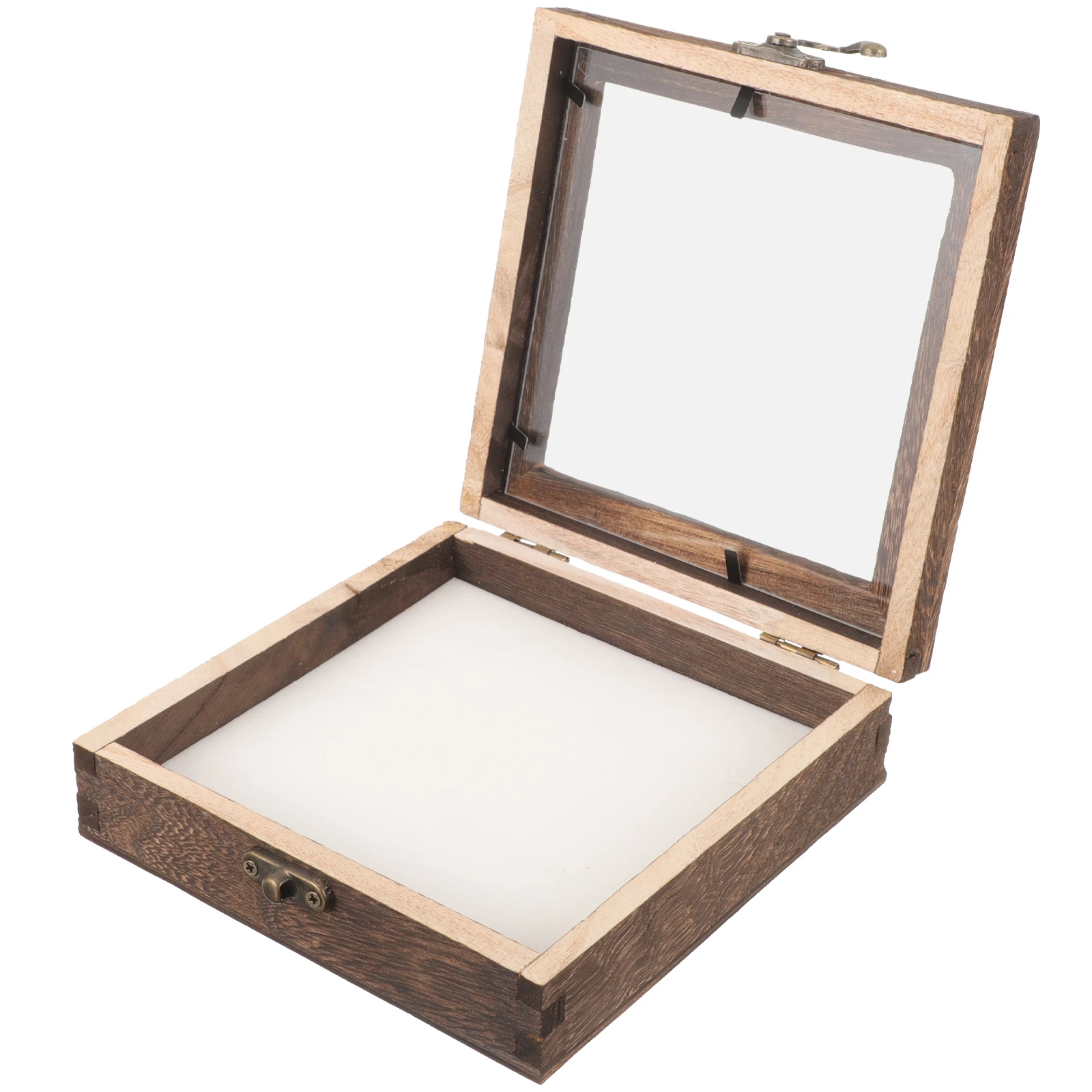 Wood Insect Specimen Display Box 15x15x4.5cm Carbon Pin Cushion Vintage Case for Butterflies Plants Dried Flowers
Wood Insect Specimen Display Box 15x15x4.5cm Carbon Pin Cushion Vintage Case for Butterflies Plants Dried Flowers