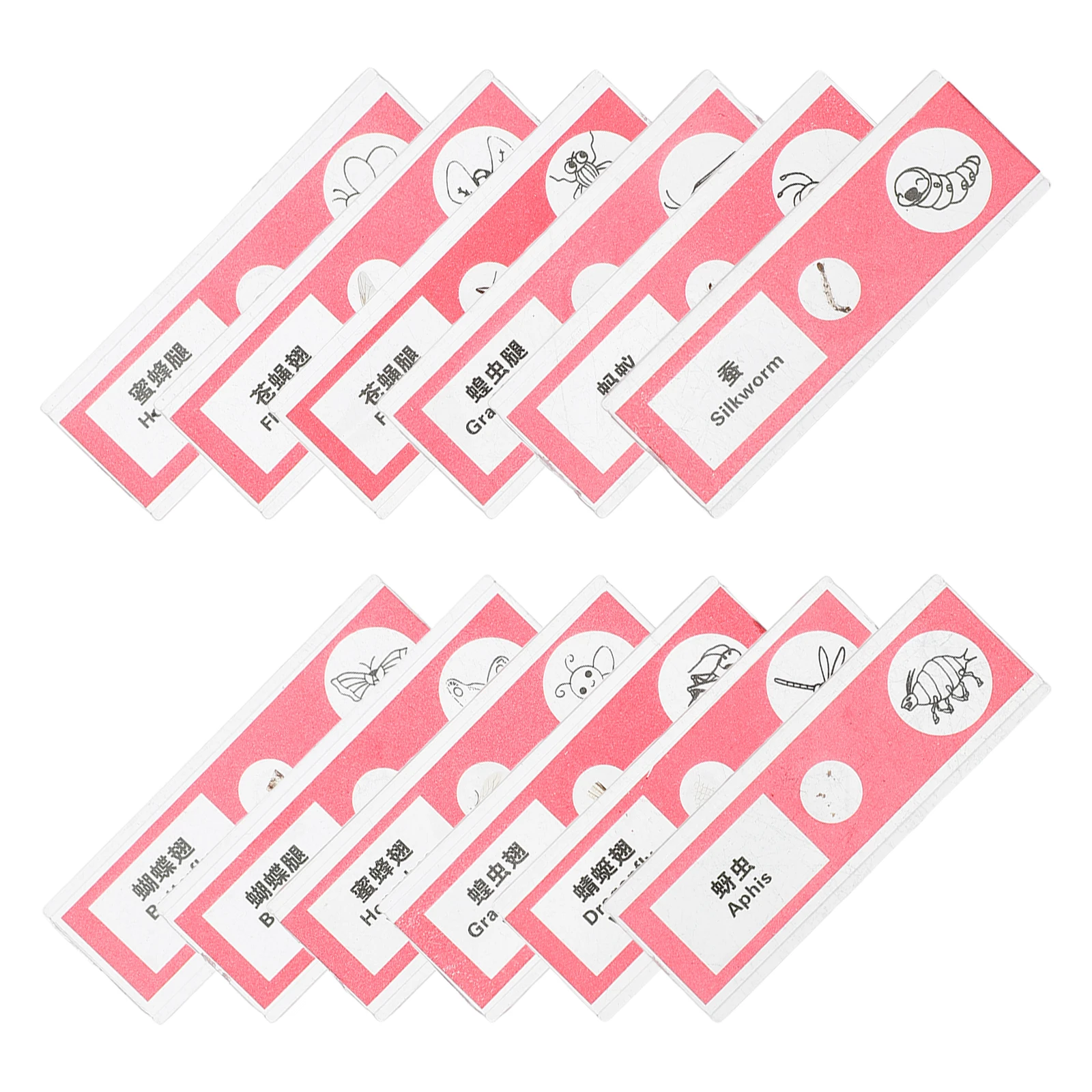 12pcs Plant Collection Cells Tissue Tray Kid Supplies Biology Teaching Kids Microscope Slides Equipment
12pcs Plant Collection Cells Tissue Tray Kid Supplies Biology Teaching Kids Microscope Slides Equipment