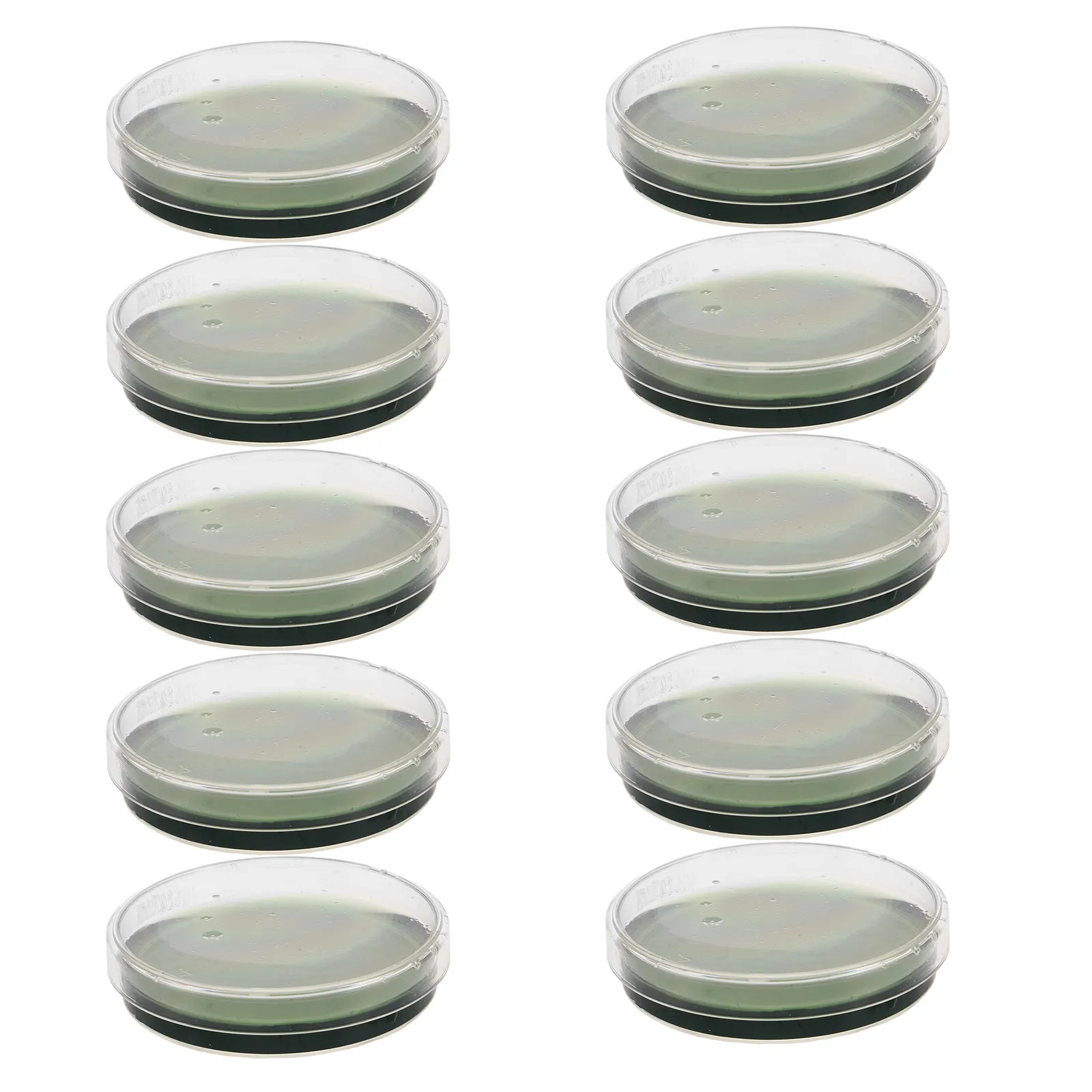 10Pcs Microbiology Culture Plates Nutrient Agar Petri Dishes 6Cm Clear for Lab Science Projects Research Experiment Supplies
10Pcs Microbiology Culture Plates Nutrient Agar Petri Dishes 6Cm Clear for Lab Science Projects Research Experiment Supplies