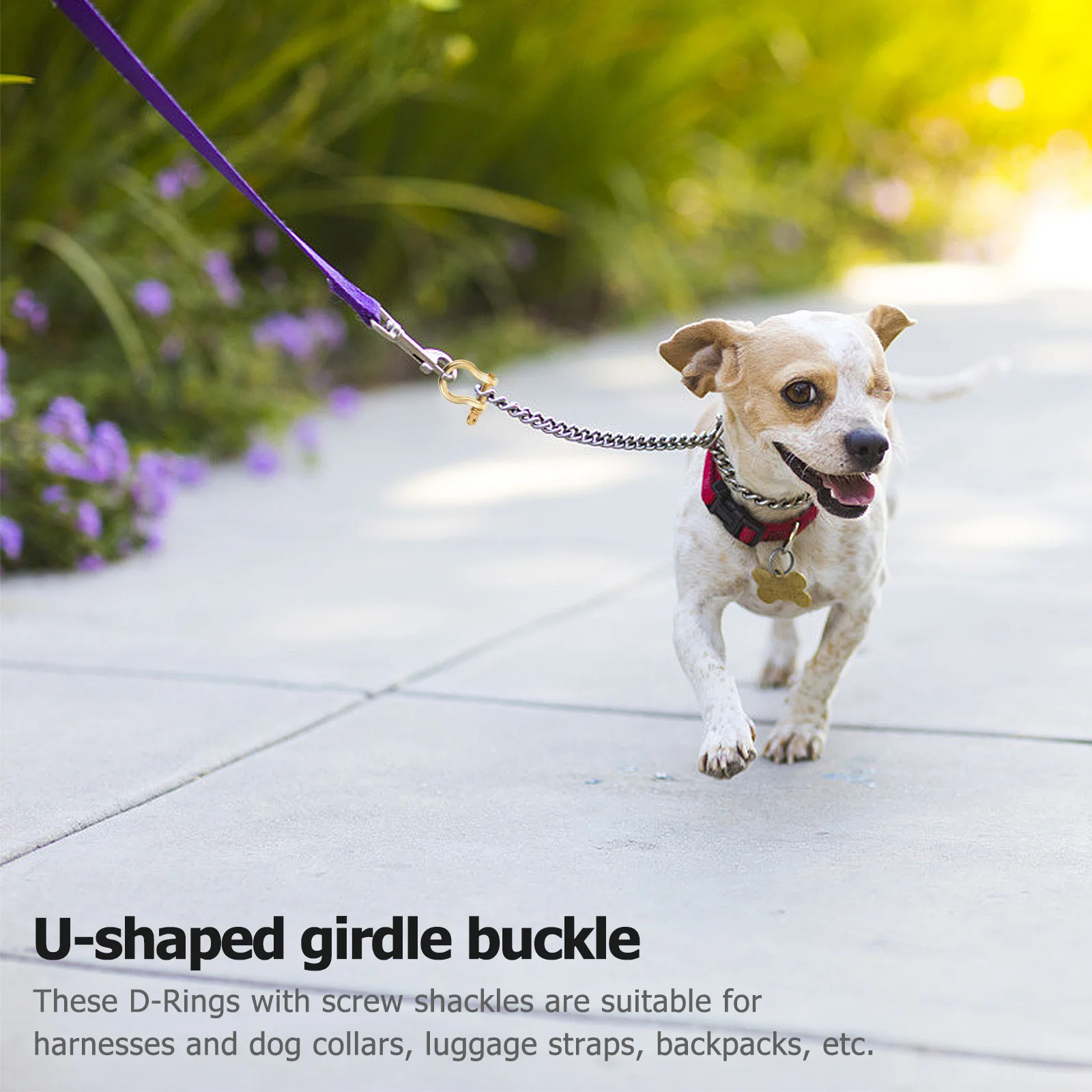 2Pcs D-Rings Closing Screw Shackles U Shape Key Ring for DIY Craft Pet Collar Keychain Accessories Purse Replacement
2Pcs D-Rings Closing Screw Shackles U Shape Key Ring for DIY Craft Pet Collar Keychain Accessories Purse Replacement