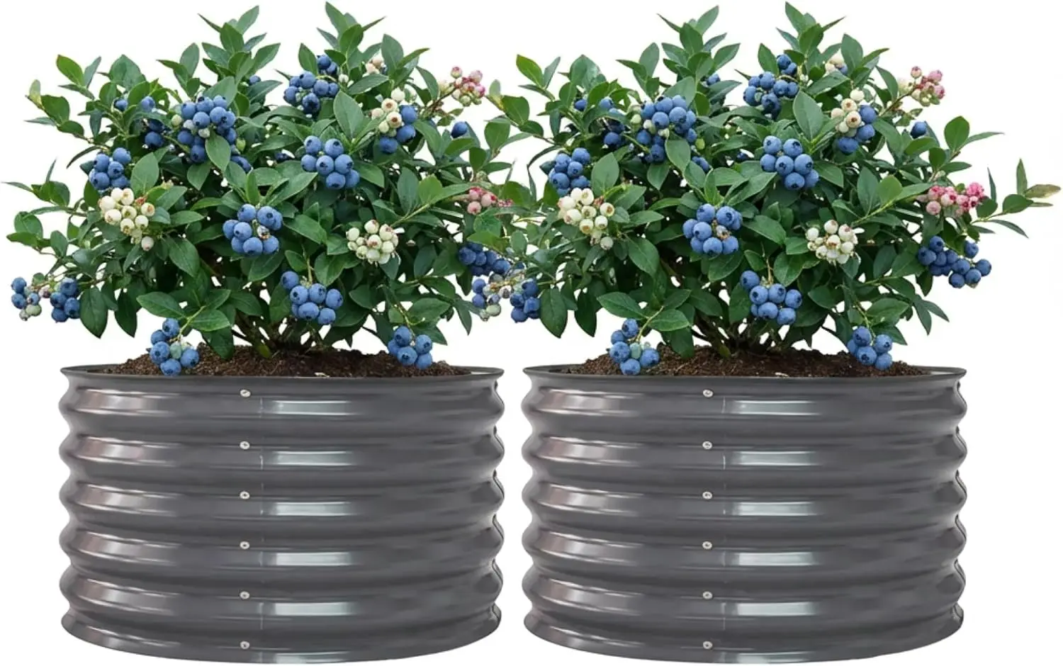 17" Tall Herb Raised Garden Bed for Basil Lavender Sages, 30" Wide Round Fruit Tomato Planter Box for Gardening Blueberr
17" Tall Herb Raised Garden Bed for Basil Lavender Sages, 30" Wide Round Fruit Tomato Planter Box for Gardening Blueberr