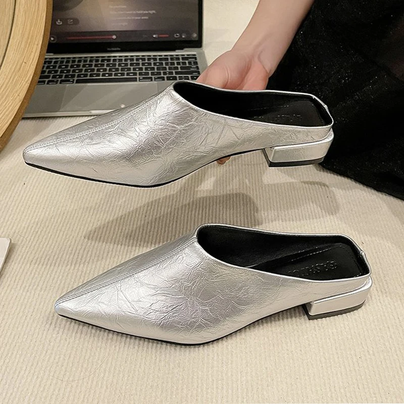 Woman Heeled Shoes Pointed Toe Slippers Spring Slingback Sandals Luxury Dress Women Shoes 2025 New Trend Brand Female Zapatillas
Woman Heeled Shoes Pointed Toe Slippers Spring Slingback Sandals Luxury Dress Women Shoes 2025 New Trend Brand Female Zapatillas
