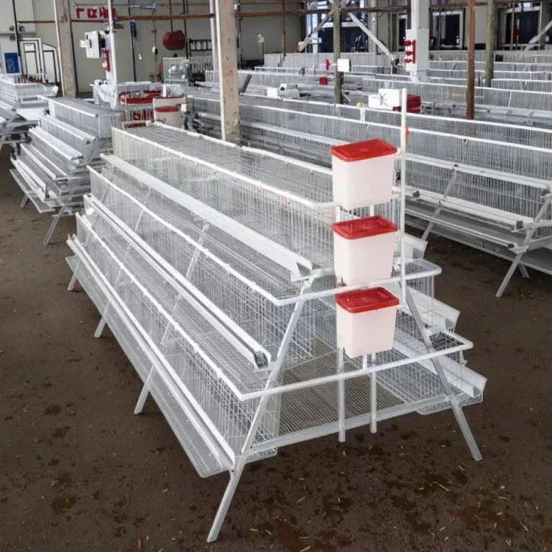 Hot Sale Layer Hens Egg Laying Poultry Farm Breeding 1000 Capacity 4 Tier Battery Chicken Animal Cage For Philippines
Hot Sale Layer Hens Egg Laying Poultry Farm Breeding 1000 Capacity 4 Tier Battery Chicken Animal Cage For Philippines