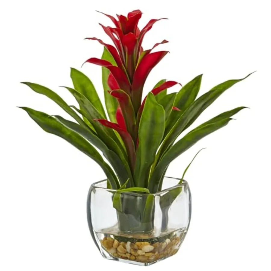 6897-RD Bromeliad with Glass Vase Arrangement, 11 in x 11 in x 12 in, Red
6897-RD Bromeliad with Glass Vase Arrangement, 11 in x 11 in x 12 in, Red