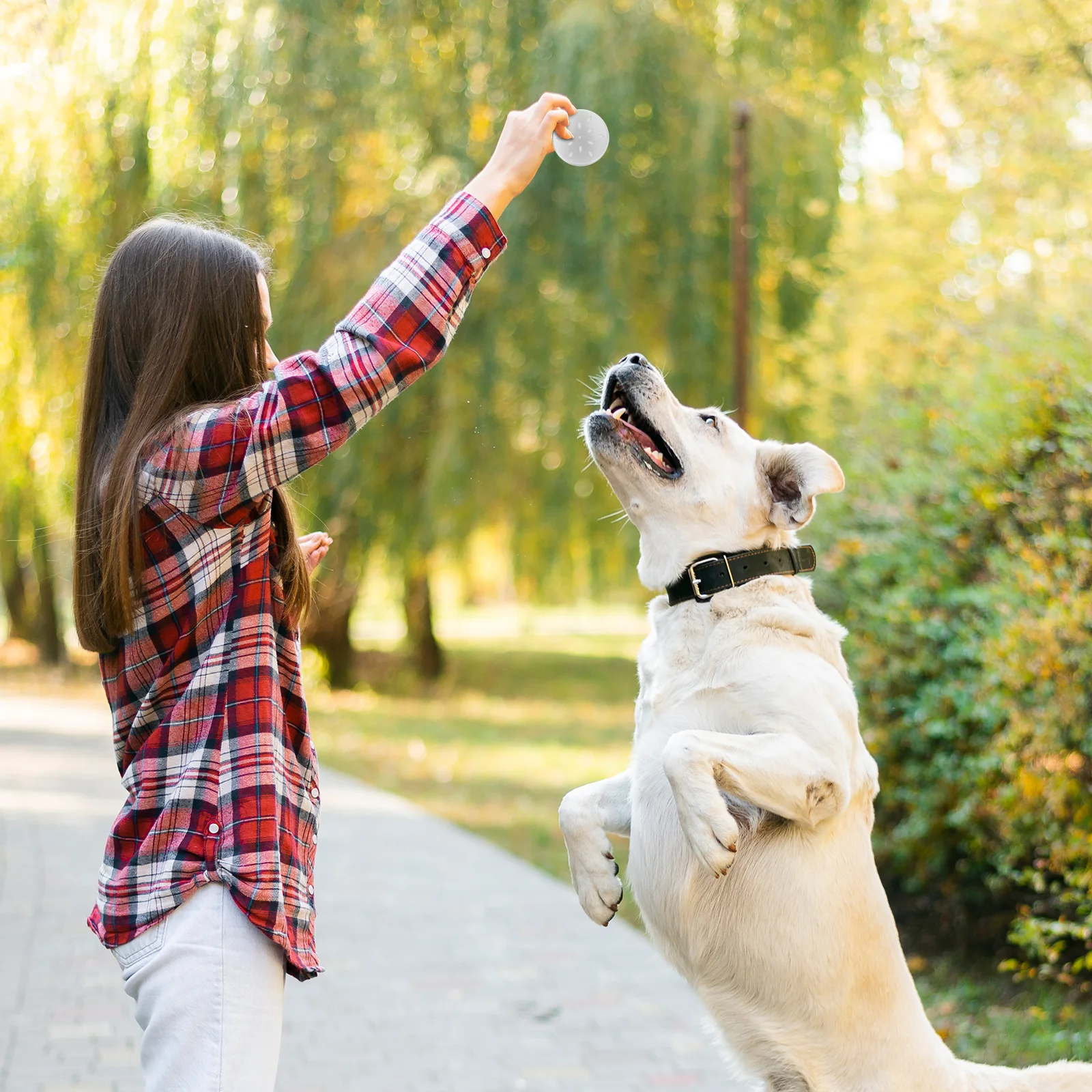 10pcs Nose Holder Tool Odor Sniffle Case Work Accessory Snuffle Box Mental Stimulation Aroma Container Metal Tin With Lid Dog
10pcs Nose Holder Tool Odor Sniffle Case Work Accessory Snuffle Box Mental Stimulation Aroma Container Metal Tin With Lid Dog