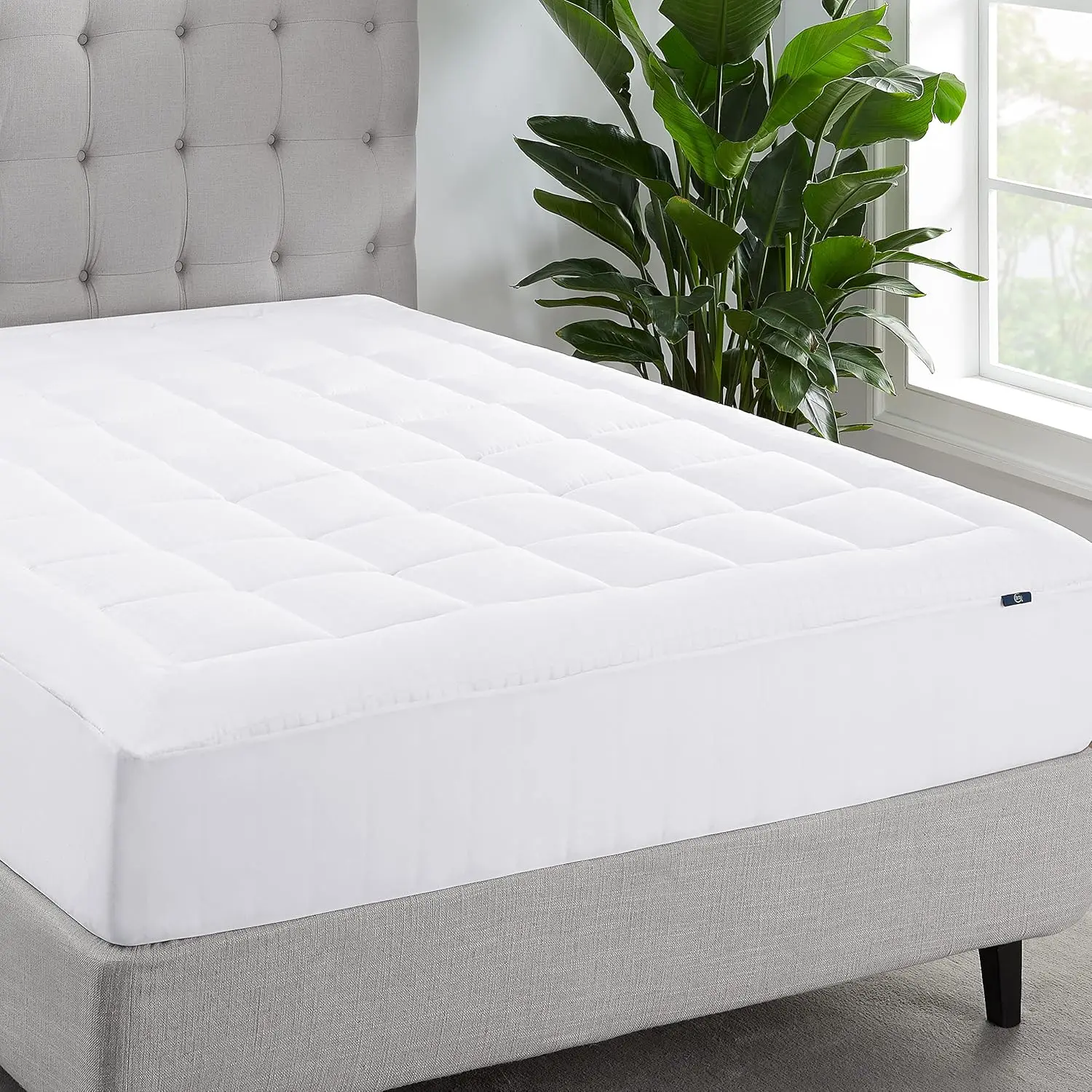 Comfortsure Twin Xl Mattr Cover, Fitted Pillow Top Mattr Pad, Super Soft And Breathable Quilted Cotton Protector With 18""
Comfortsure Twin Xl Mattr Cover, Fitted Pillow Top Mattr Pad, Super Soft And Breathable Quilted Cotton Protector With 18""