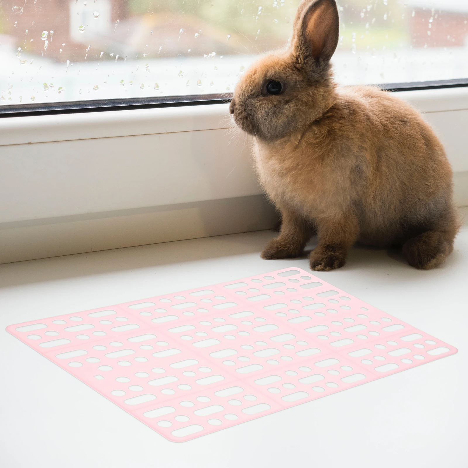 4pcs Floor Mat Plastic Hole Grid Pet Bunny Mats Easy Guinea Pig Accessories Nesting Pad Reusable for Cats
4pcs Floor Mat Plastic Hole Grid Pet Bunny Mats Easy Guinea Pig Accessories Nesting Pad Reusable for Cats