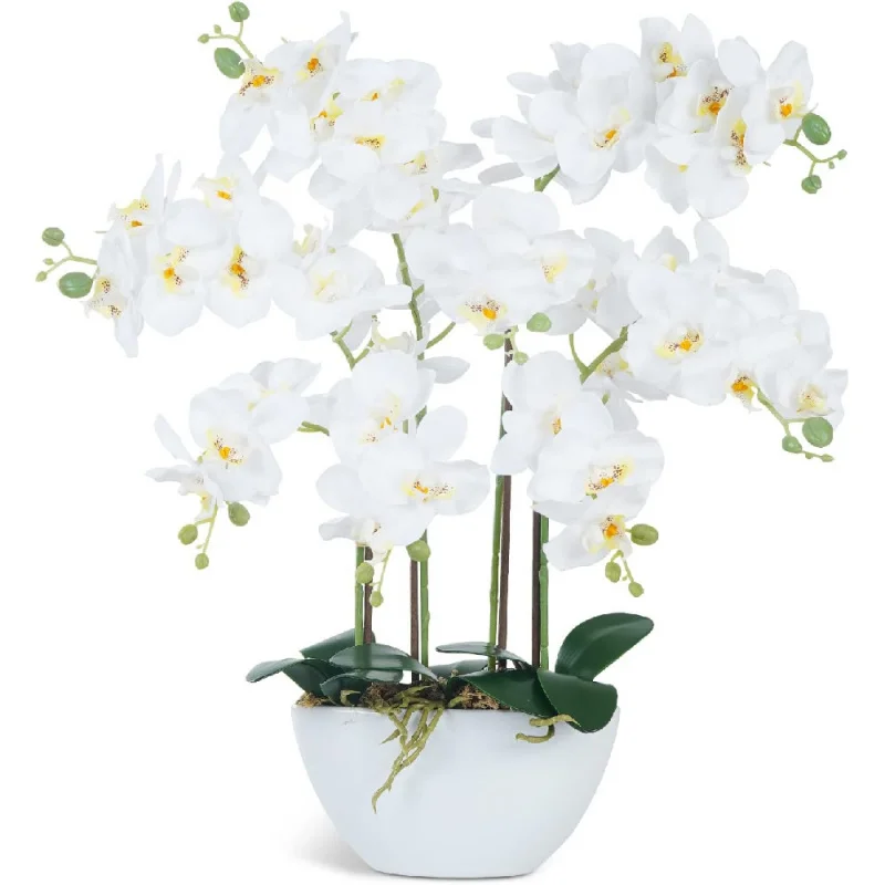 Artificial Orchid Flowers & Plants Potted in Ceramic Pot, White Faux Phalaenopsis Orchids for Table Centerpiece,
Artificial Orchid Flowers & Plants Potted in Ceramic Pot, White Faux Phalaenopsis Orchids for Table Centerpiece,
