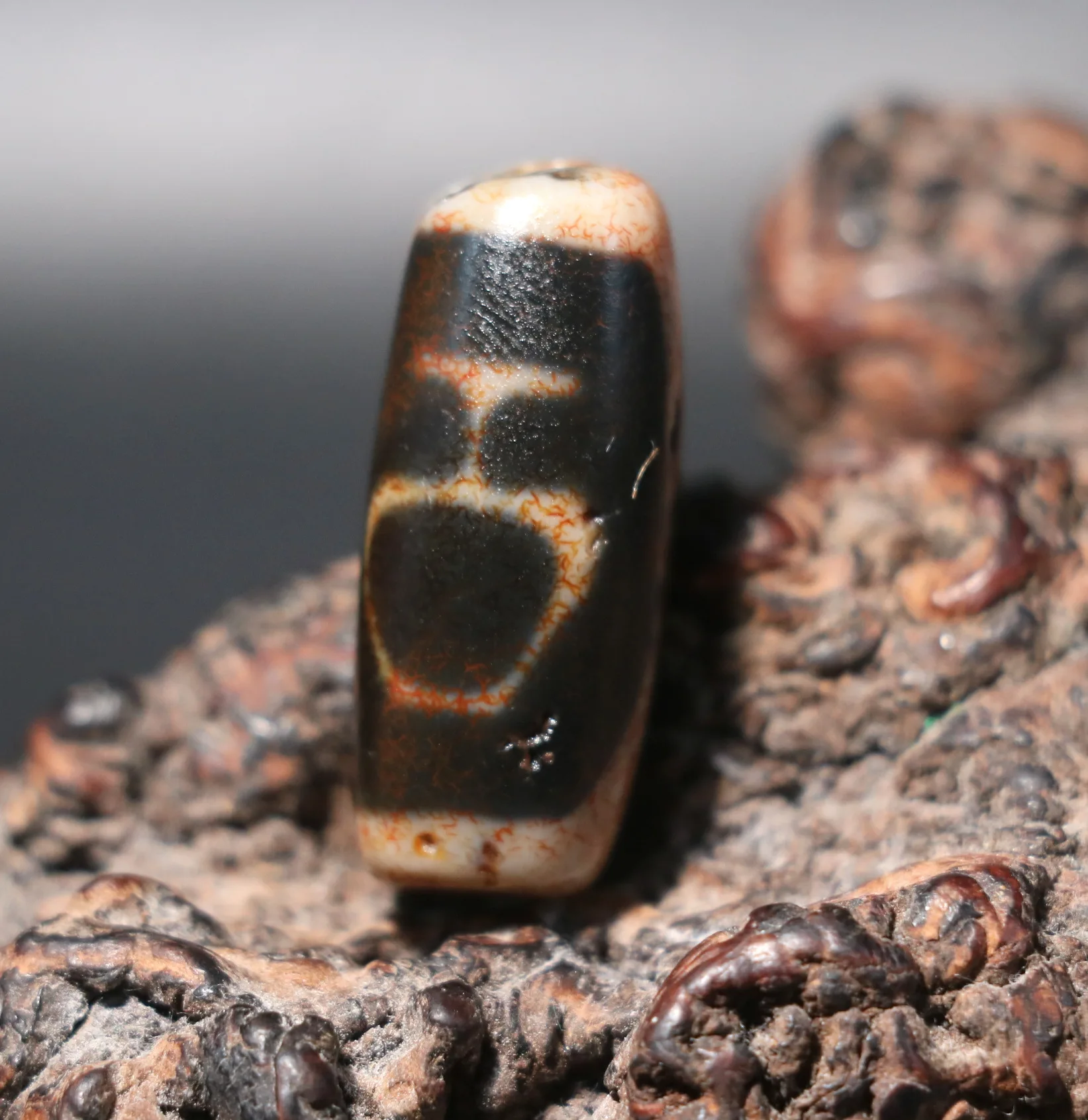 Unique Magic Power Energy Tibetan Old Agate Treasure Bottle Tiger Tooth Symbol dZi Bead For Bracelet Amulet Talisman RT UPD0515
Unique Magic Power Energy Tibetan Old Agate Treasure Bottle Tiger Tooth Symbol dZi Bead For Bracelet Amulet Talisman RT UPD0515