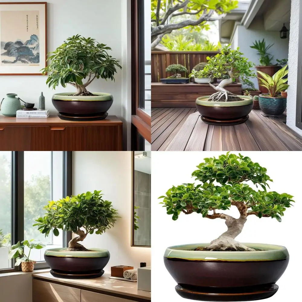 12 Inch Large Ceramic Succulent Pots with Drainage and Saucer, Shallow Planters for Indoor/Outdoor Plants, Round Bowls for Offic
12 Inch Large Ceramic Succulent Pots with Drainage and Saucer, Shallow Planters for Indoor/Outdoor Plants, Round Bowls for Offic