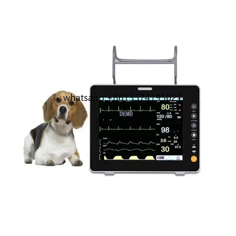 PM-12F LCD Display Multi-Parameter Veterinary Pet Veterinary De Signos Vitales Veterinary for Animal
PM-12F LCD Display Multi-Parameter Veterinary Pet Veterinary De Signos Vitales Veterinary for Animal
