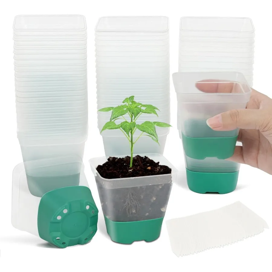 30 Packs Clear Nursery Pots with Plant Labels 3 Inch Plastic Plant Pot with Silicone Base and Drainage Holes Reusable Seedling
30 Packs Clear Nursery Pots with Plant Labels 3 Inch Plastic Plant Pot with Silicone Base and Drainage Holes Reusable Seedling