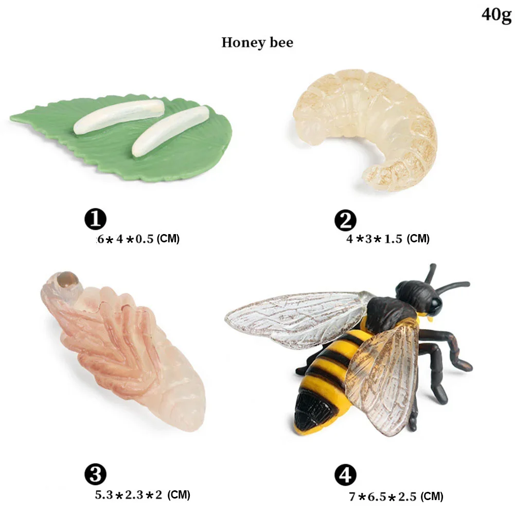 Simulation Animal Insect Model Figures Bee Wasp PVC Doll Bee Action Figures Figurine Educational Toys Gifts
Simulation Animal Insect Model Figures Bee Wasp PVC Doll Bee Action Figures Figurine Educational Toys Gifts