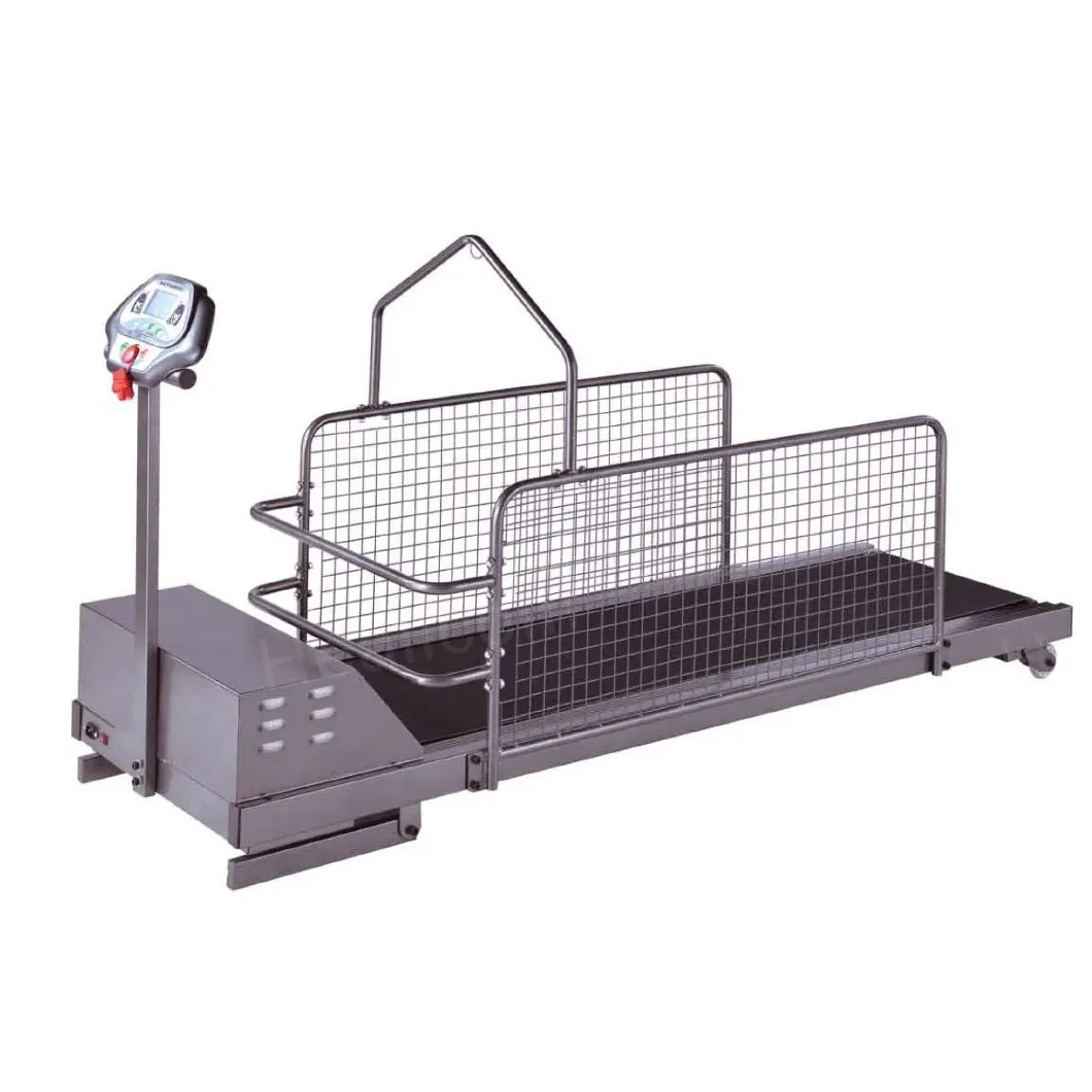 Портативное оборудование для дрессировки домашних животных, беговая дорожка для выгула собак для домашнего использования
Портативное оборудование для дрессировки домашних животных, беговая дорожка для выгула собак для домашнего использования