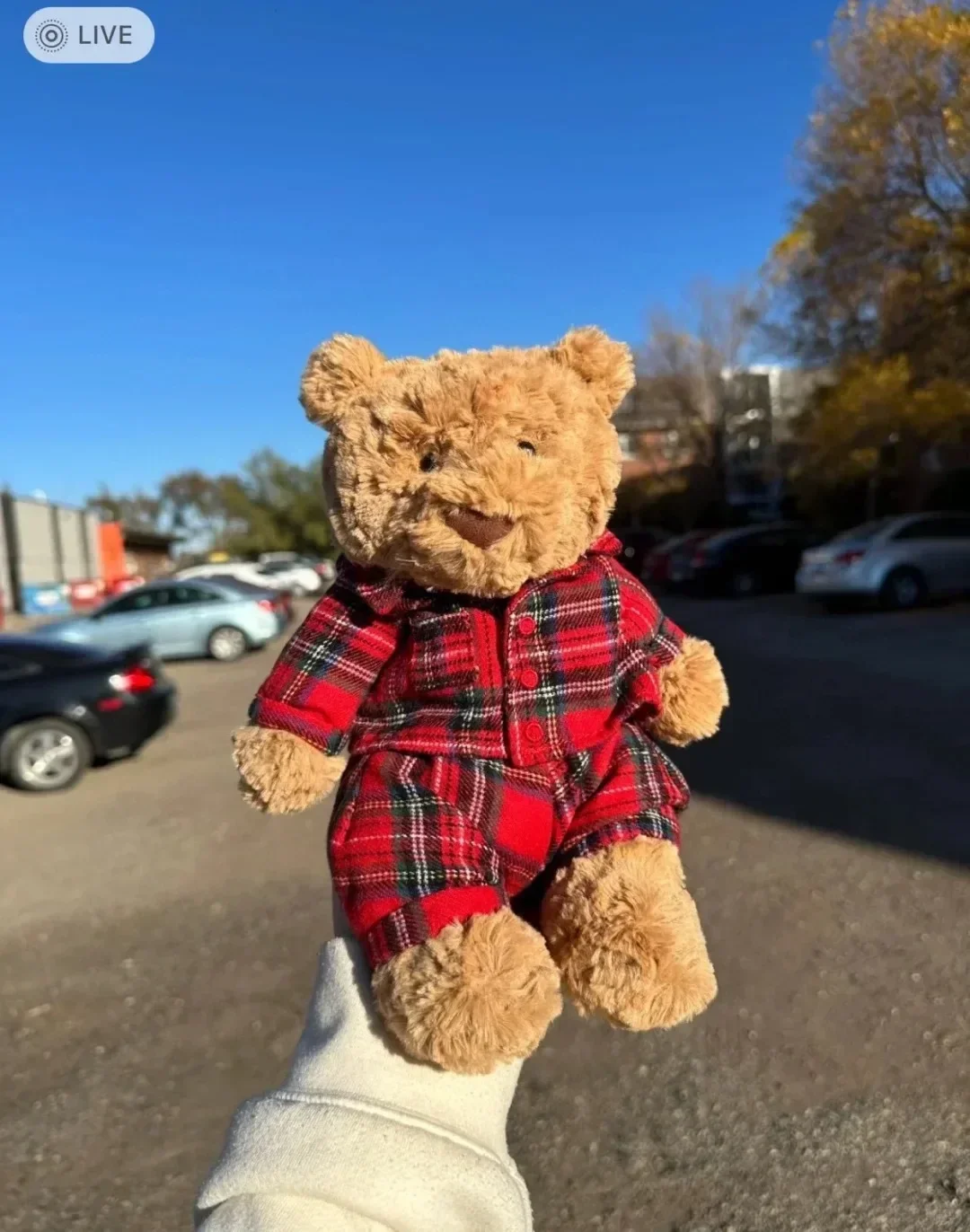 Jelly Cat Barcelona Bear Shirt Bear Teddy Bear Plush Doll Cat And Dog Interactive Companion Toy Pet Holiday Gift Cat and dog
Jelly Cat Barcelona Bear Shirt Bear Teddy Bear Plush Doll Cat And Dog Interactive Companion Toy Pet Holiday Gift Cat and dog