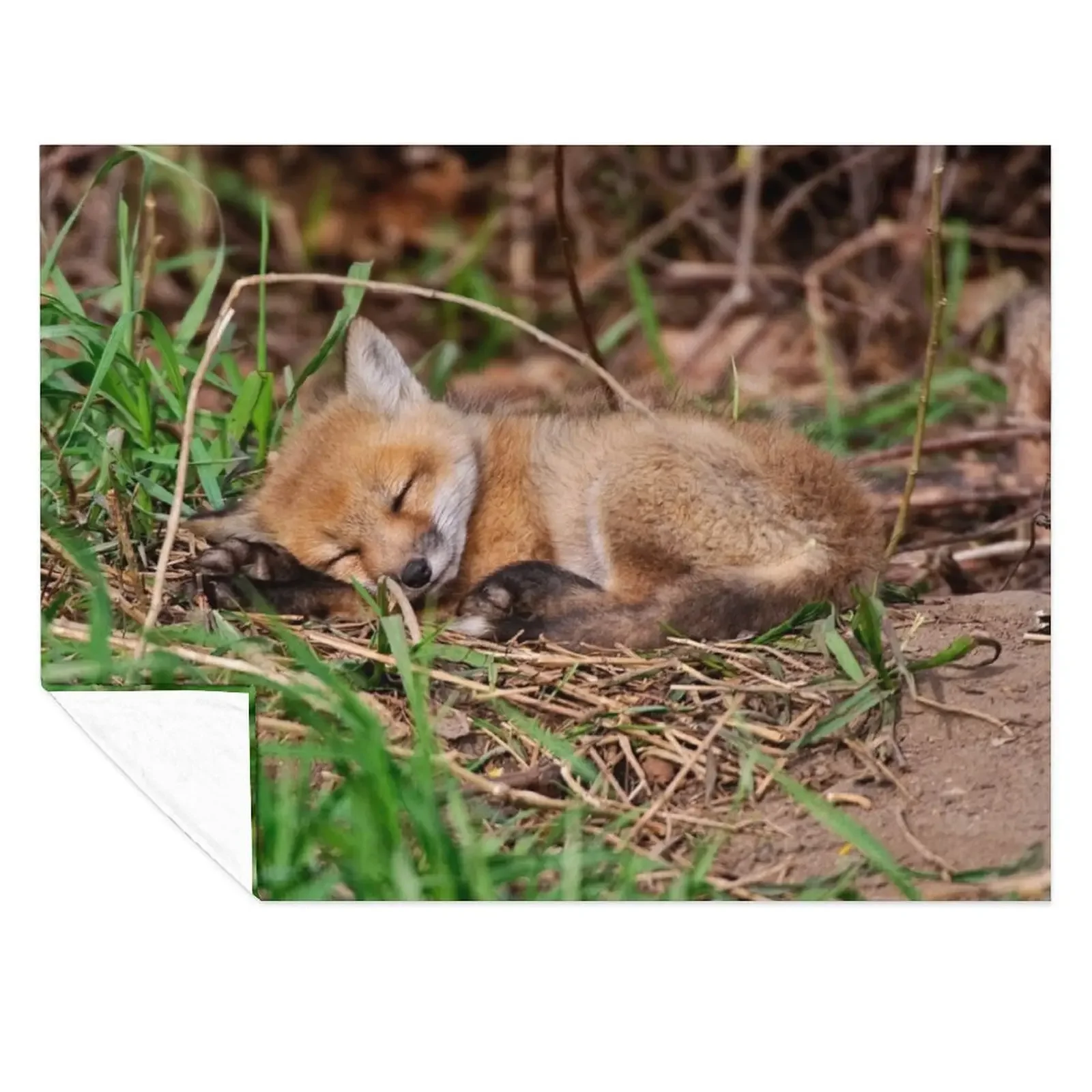Fox Kit 9 Throw Blanket Tourist Retros Giant Sofa Sofas Blankets 
Fox Kit 9 Throw Blanket Tourist Retros Giant Sofa Sofas Blankets